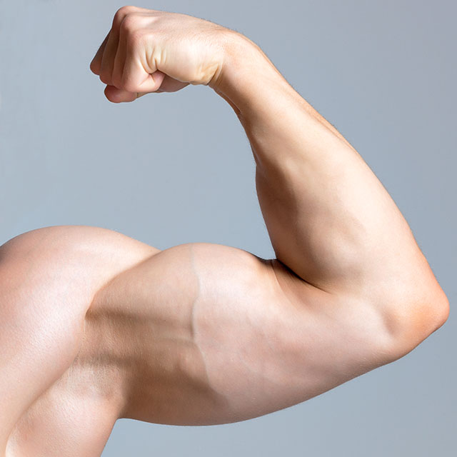 Entrenamiento funcioanl musculos superiores